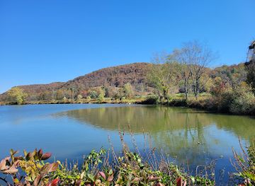 west-virginia/new-river-gorge-national-park-and-preserve/attraction/lake-shawnee-abandoned-amusement-park