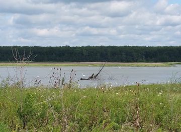 ohio/lake-erie-islands/attraction/big-island-wildlife-area