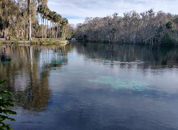 florida/ocala-national-forest/attraction/ocala-nature-park