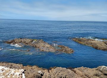 mexico/tamaulipas-coast/attraction/isla-natividad