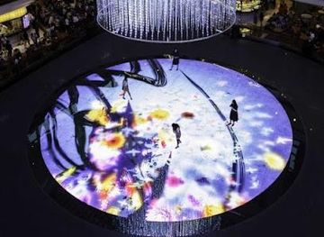singapore/pulau-semakau/attraction/teamlab-digital-light-canvas