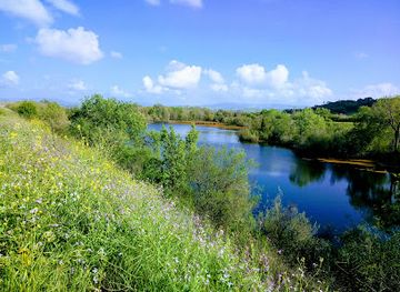 california/san-joaquin-valley/attraction/shadow-cliffs-regional-recreation-area