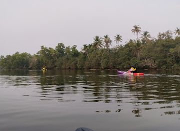 india/kerala-backwaters/attraction/lagoon-chills-kayaking