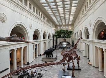 illinois/chicago/attraction/field-museum
