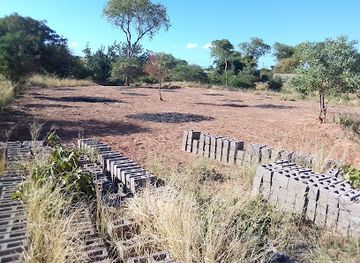 zambia/kafue-national-park/attraction/chirundu-fossil-forest