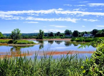 canada/annapolis-valley/attraction/miner-s-marsh