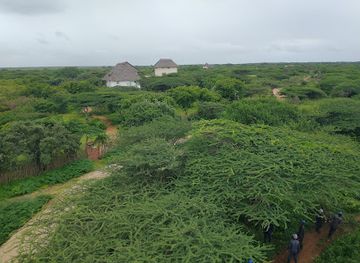 kenya/lamu/shela/attraction/ras-kitao