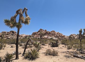 california/joshua-tree-national-park/attraction/wonderland-ranch-ruins
