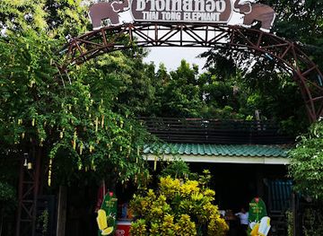thailand/pattaya/attraction/thai-tong-elephant-land