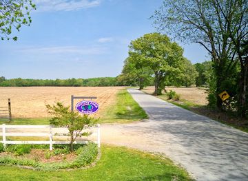 tennessee/hatchie-river-area/attraction/century-farm-winery