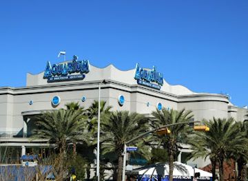texas/houston/montrose/attraction/downtown-aquarium
