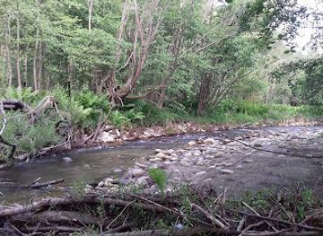 romania/hunedoara/attraction/house-of-dwarf-dinosaurs