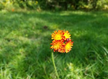 vermont/lamoille-county/attraction/lamoille-county-nature-center