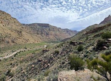 colorado/grand-junction/attraction/little-book-cliffs-wild-horse-range