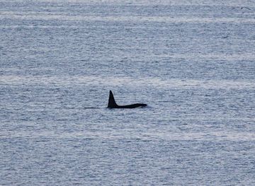 united-kingdom/orkney/attraction/sunken-fleet