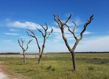 portugal/ribatejo/attraction/tagus-estuary-nature-reserve