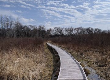 wisconsin/kettle-moraine-state-forest/attraction/kettle-moraine-low-prairie-state-natural-area