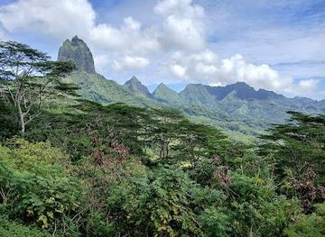 french-polynesia/papeete/attraction/route-des-ananas