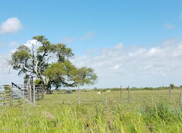 louisiana/sabine-national-wildlife-refuge/attraction/texas-point-national-wildlife-refuge