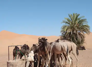 Get_your_tour_guid_in_ouzina_desert