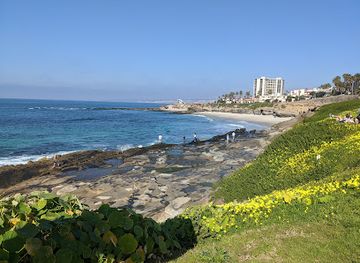 california/san-diego/la-jolla/attraction/la-jolla-tide-pools