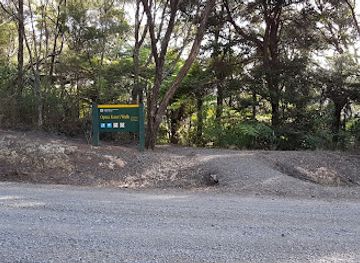 new-zealand/bay-of-islands/attraction/opua-kauri-walk