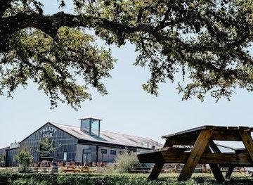 texas/austin/attraction/treaty-oak-distilling