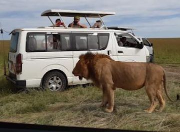 kenya/nairobi/attraction/karibu-safaris-in-kenya