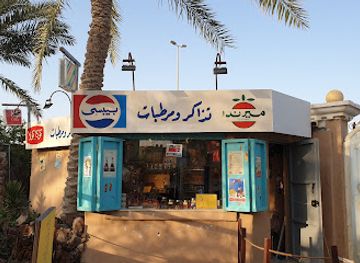 saudi-arabia/dammam/attraction/taybeen-museum