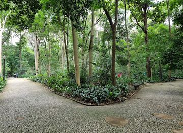 brazil/zona-da-mata/attraction/trianon-park