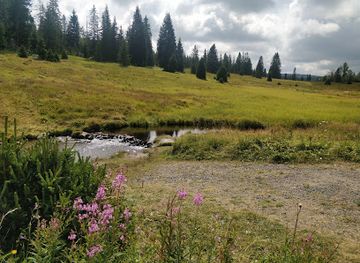 czechia/sumava-national-park/attraction/vyhlidka-na-jezerni-slat