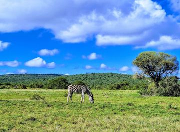south-africa/addo-elephant-national-park/attraction/jack-s-picnic-site