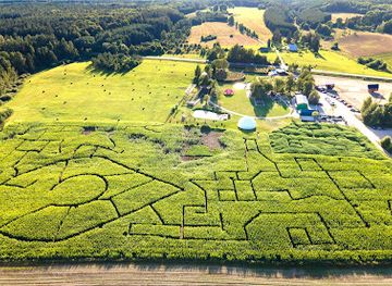 lithuania/anyksciai-treetop-walking-path/attraction/kukuruzu-labirintas