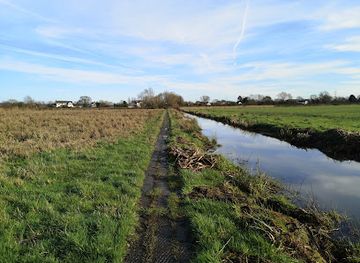 united-kingdom/gwent/attraction/magor-marsh-gwent-wildlife-trust