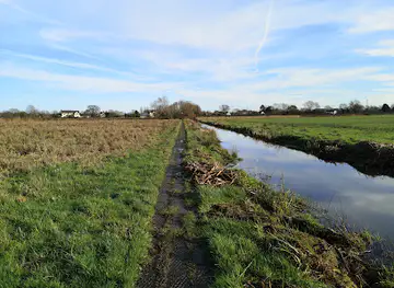 Magor Marsh - Gwent Wildlife Trust