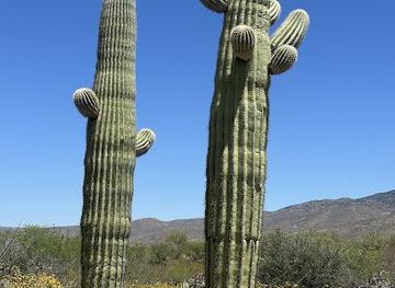 arizona/tucson/attraction/rincon-mountain-visitor-center
