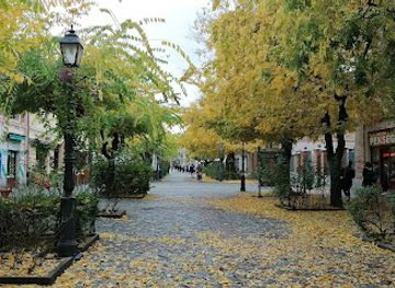 hungary/vac/attraction/szechenyi-istvan-setaloutca