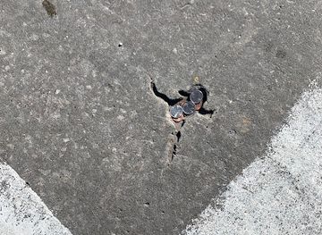 missouri/st-charles/attraction/st-charles-frog-hole