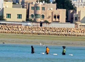 bahrain/hawar-islands/attraction/al-sayadeen-view-point