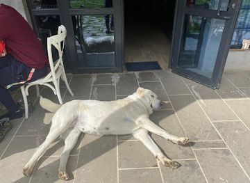 armenia/noravank-monastery/attraction/bolshaya-belaya-sobaka