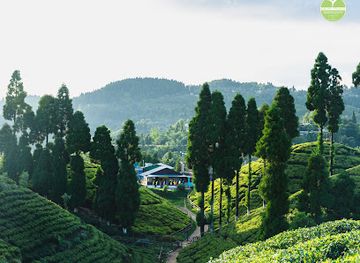 nepal/province-no-1/attraction/golpahar-viewpoint-tea-shop