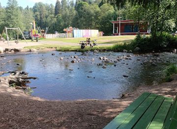 sweden/dalarna/attraction/saterdalen