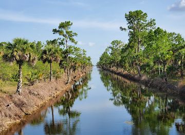 florida/fakahatchee-strand-preserve-state-park/attraction/picayune-strand-state-forest