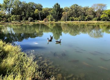 nebraska/nebraska-national-forest/attraction/schramm-park-state-recreation-area