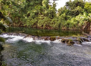 jamaica/savanna-la-mar/attraction/paradise-park