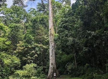 saint-lucia/rodney-bay/attraction/montravail-forest