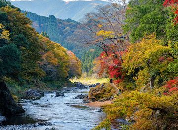 japan/kai/attraction/mitake-gorge