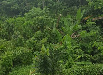 jamaica/runaway-bay/attraction/royal-palm-estate