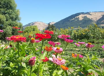 oregon/cascade-range/attraction/the-gorge-white-house
