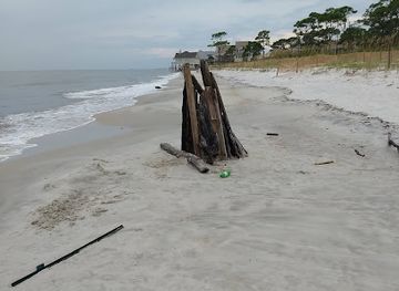 alabama/dauphin-island/attraction/goat-tree-reserve-dauphin-island-bird-sanctuaries-inc